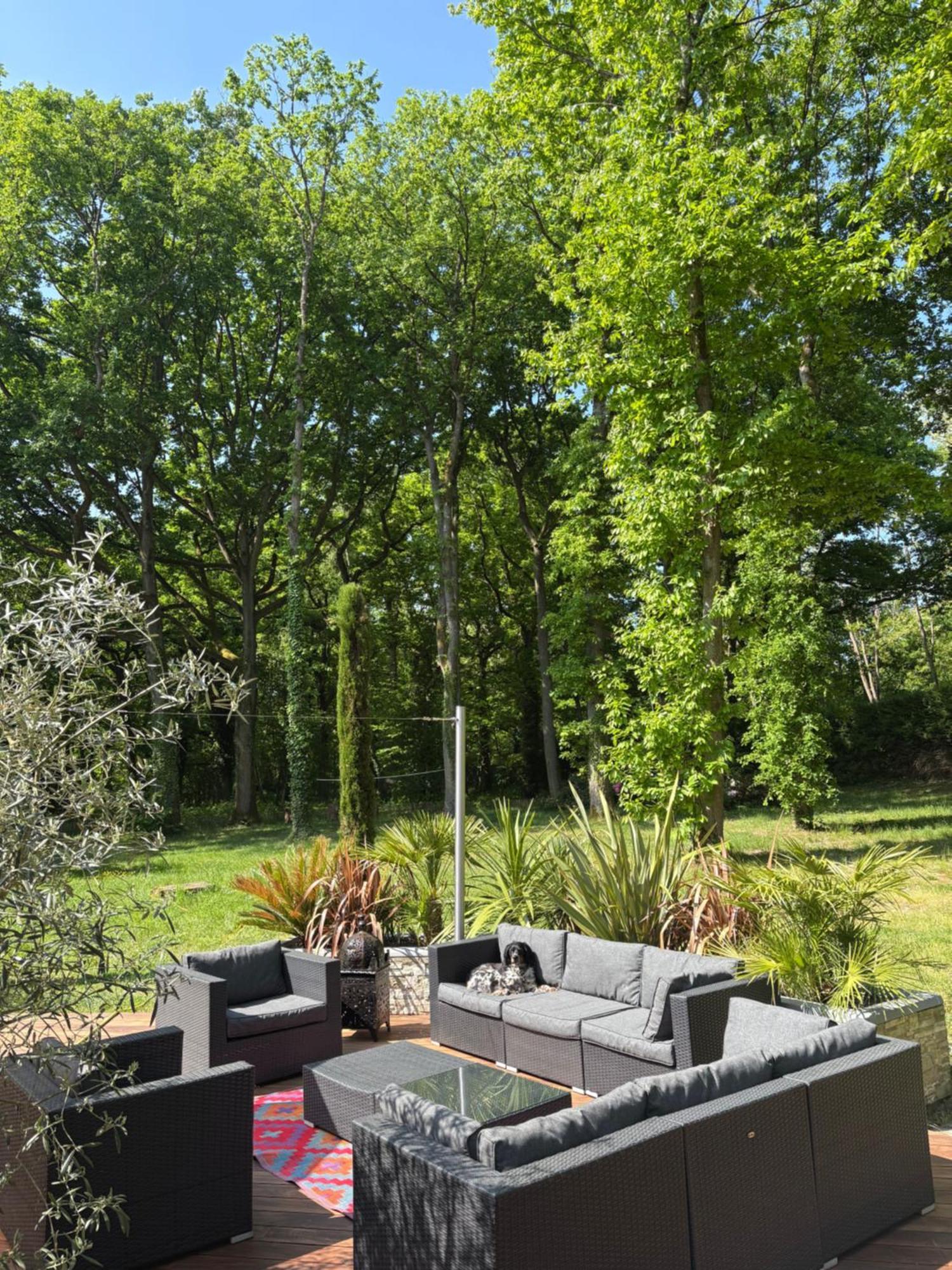 Somptueuse Villa D'Architecte Rochefort-en-Yvelines Extérieur photo